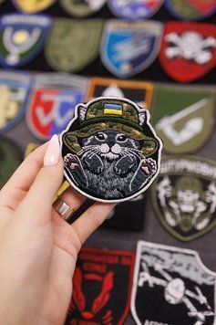 Шеврон на подарунок для дівчини кіт у панамі SH0732 фото