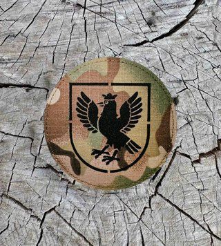 Лазерний шеврон НГУ м. Івано-Франківськ мультикам Laser Cut SH0968 фото